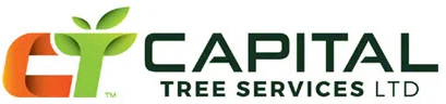 Capital Tree Services